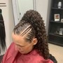 Root Touch Up