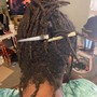 Faux Loc Extentions