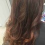 Partial Highlights,