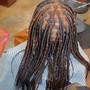 Senegalese Twist