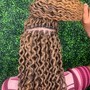 Jumbo/Havana Twists