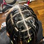 Individual Knotless Medium Braids