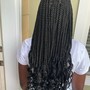 Havana Twists