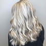 Toner Refresher + Blow Dry