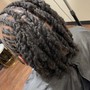 Twist with regular hair