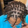 Starter Locs 2strand