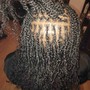 2 strand  /Marley / Senegalese  Twists/ Passion twists