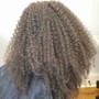 2 Strand Twists (afro textures only)