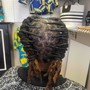 Starter Dreadlocks