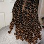 Kid's Box/knotless Braids