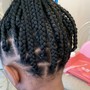 Feed in Braids