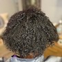 Root Touch Up