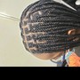 Feed In  Braids