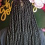 Passion Twists