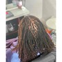 Root Touch Up