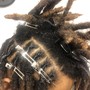 Human hair Locs