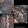 CURL DEFINING (tapered fro)