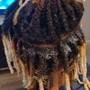 Retwist ( +8  week new growth maintenance fee)