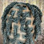 Havana Twists - Large