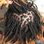 Beginner Locs