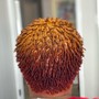 Root Touch-up Single Process Color