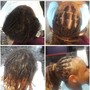 Starter dreadlocks