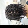 Starter dreadlocks