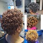 Shampoo & sponge-twist short natural hair only