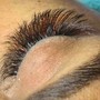 Brow Lamination /shaping and tint