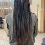 2 Stitch Feed -In Braids