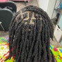 Micro Twists (Added hair)