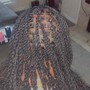 Senegalese Twist