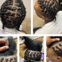 Tree Braids