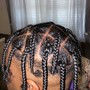 Individual Braids