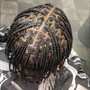 Male Plats Full head