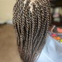 Medium Senegalese Twist