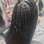 Crochet Braids