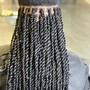 Small Senegalese Twists