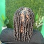 Loc  retwist (half of head)