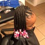 Feed in Braids(6)