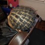 Scalp Treatment