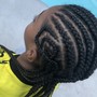 Box Braids or Twists with hair