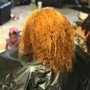 Root Touch Up