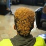 Root Touch Up