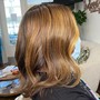 Full Balayage + Silk Press