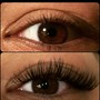 Eyelash Curl / Perm