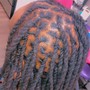 Exceed Back Loc Extensions