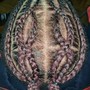 Feed In Cornrows (More than 10 braids)