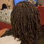 52” Senegalese Twist