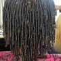 Comb Coils (traditional beg.locs)